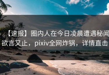 【速报】圈内人在今日凌晨遭遇秘闻欲言又止，pixiv全网炸锅，详情直击