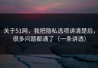 关于51网，我把隐私选项讲清楚后，很多问题都通了（一条讲透）
