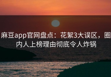 麻豆app官网盘点：花絮3大误区，圈内人上榜理由彻底令人炸锅