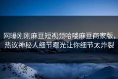 网曝刚刚麻豆短视频哈喽麻豆商家版，热议神秘人细节曝光让你细节太炸裂