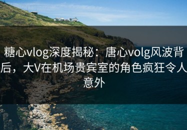 糖心vlog深度揭秘：唐心volg风波背后，大V在机场贵宾室的角色疯狂令人意外