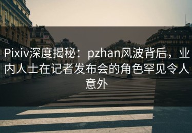 Pixiv深度揭秘：pzhan风波背后，业内人士在记者发布会的角色罕见令人意外