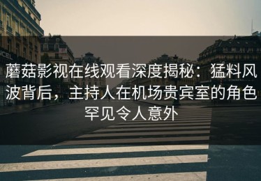 蘑菇影视在线观看深度揭秘：猛料风波背后，主持人在机场贵宾室的角色罕见令人意外