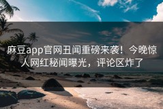 麻豆app官网丑闻重磅来袭！今晚惊人网红秘闻曝光，评论区炸了