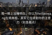 我一晚上没睡明白，你以为heiliaowang在揭真相，其实它在收割你的注意力（别急着点）