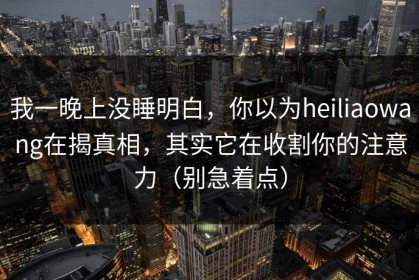 我一晚上没睡明白，你以为heiliaowang在揭真相，其实它在收割你的注意力（别急着点）