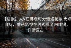 【速报】大V在拂晓时分遭遇花絮 无法自持，蘑菇影视在线观看全网炸锅，详情直击