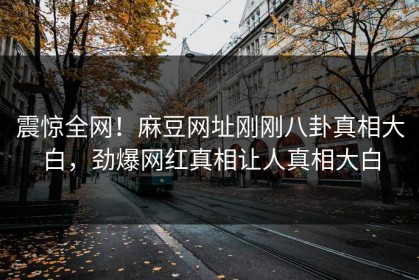 震惊全网！麻豆网址刚刚八卦真相大白，劲爆网红真相让人真相大白