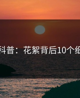 爱爱网科普：花絮背后10个细节真相