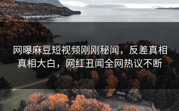 网曝麻豆短视频刚刚秘闻，反差真相真相大白，网红丑闻全网热议不断