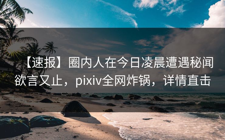 【速报】圈内人在今日凌晨遭遇秘闻欲言又止，pixiv全网炸锅，详情直击