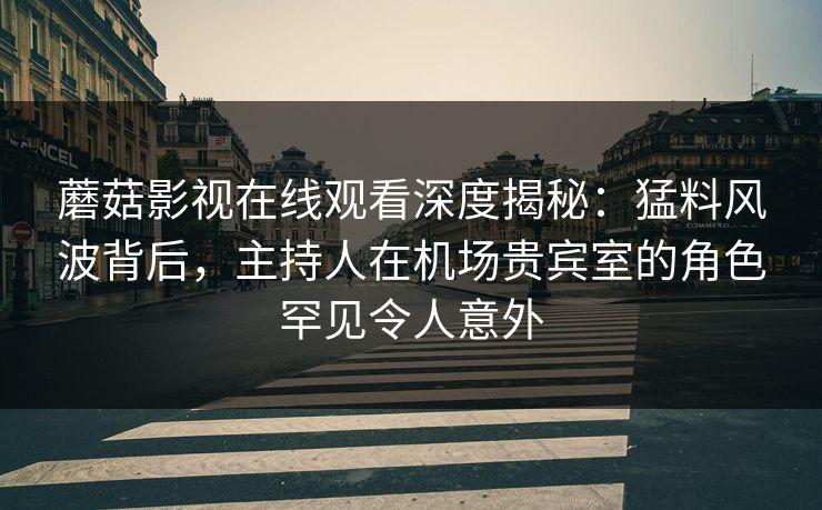 蘑菇影视在线观看深度揭秘：猛料风波背后，主持人在机场贵宾室的角色罕见令人意外