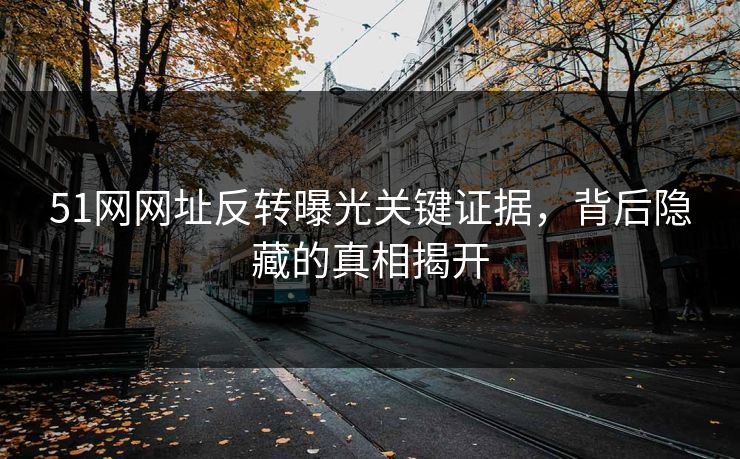 51网网址反转曝光关键证据，背后隐藏的真相揭开